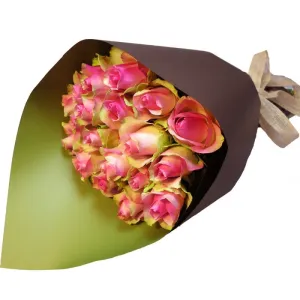Mamma Mia Roses